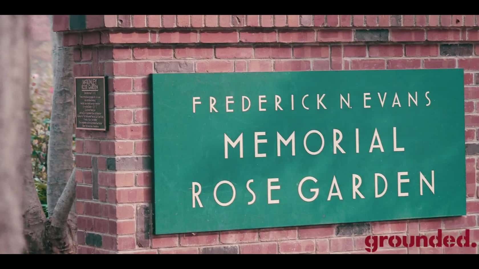 McKinley Park • Grounded Real Estate